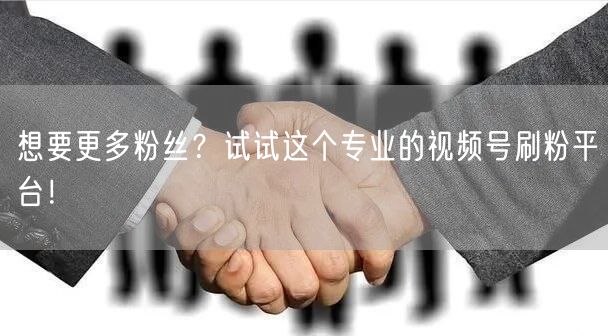 想要更多粉丝？试试这个专业的视频号刷粉平台！