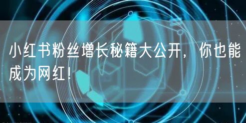 小红书粉丝增长秘籍大公开，你也能成为网红！