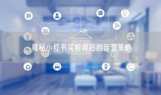 揭秘小红书买粉背后的运营策略