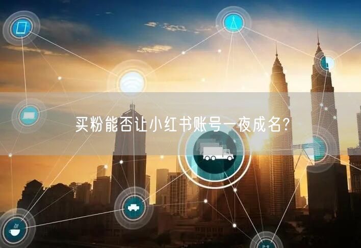 买粉能否让小红书账号一夜成名？