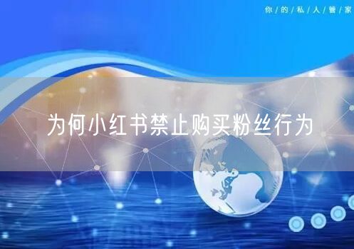 为何小红书禁止购买粉丝行为