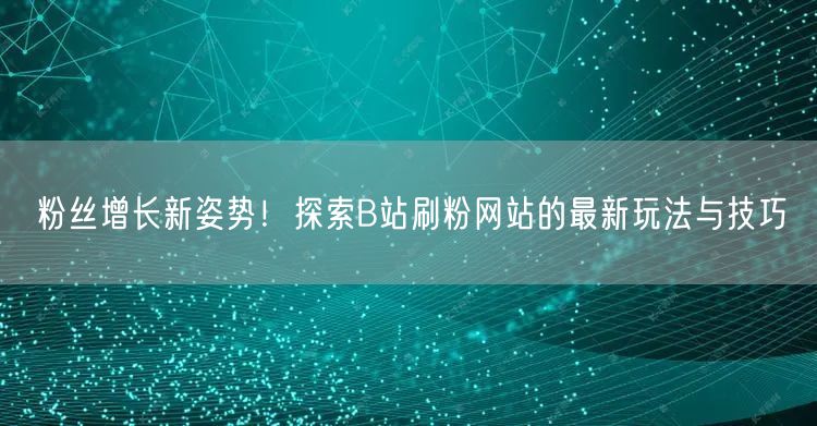 粉丝增长新姿势！探索B站刷粉网站的最新玩法与技巧