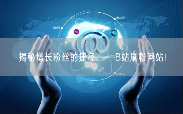 揭秘增长粉丝的捷径——B站刷粉网站！