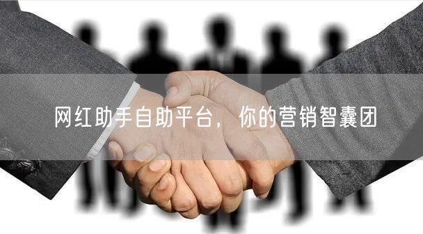 网红助手自助平台，你的营销智囊团