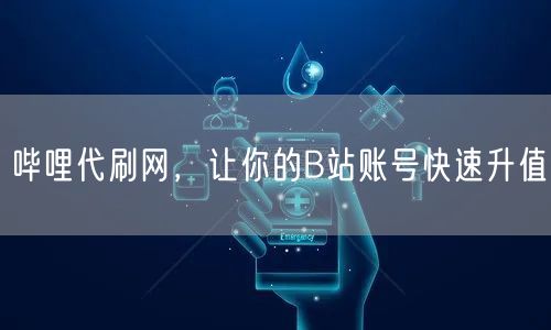 哔哩代刷网，让你的B站账号快速升值