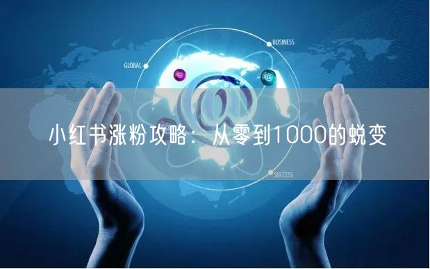 小红书涨粉攻略：从零到1000的蜕变