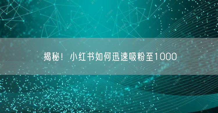 揭秘！小红书如何迅速吸粉至1000