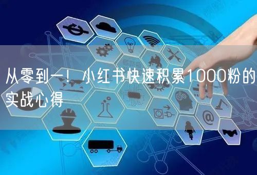 从零到一！小红书快速积累1000粉的实战心得