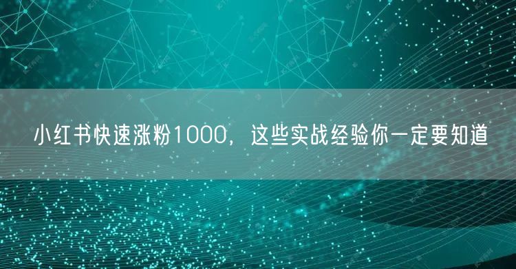 小红书快速涨粉1000，这些实战经验你一定要知道