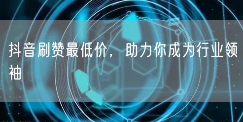 抖音刷赞最低价，助力你成为行业领袖