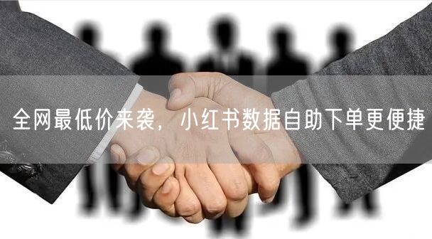 全网最低价来袭，小红书数据自助下单更便捷