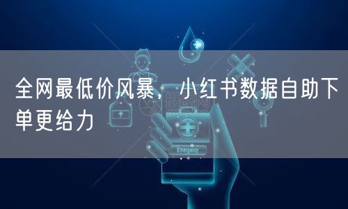 全网最低价风暴，小红书数据自助下单更给力