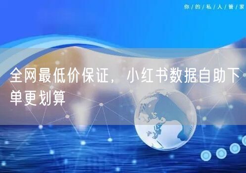 全网最低价保证，小红书数据自助下单更划算
